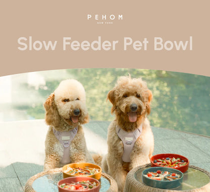 [WAVE] Slow Feeder Dog Bowls - Orange
