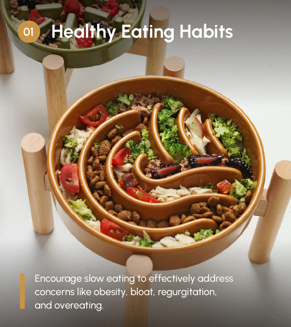 [WAVE] Slow Feeder Dog Bowls - Orange