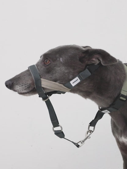 Control Dog Head Collar