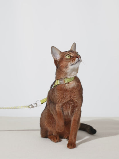 Freedom Exploration Cat Harness and Leash Set