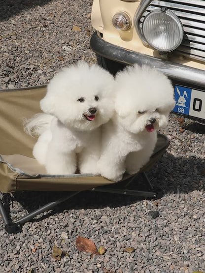Moisture-Resistant Foldable Pet Bed