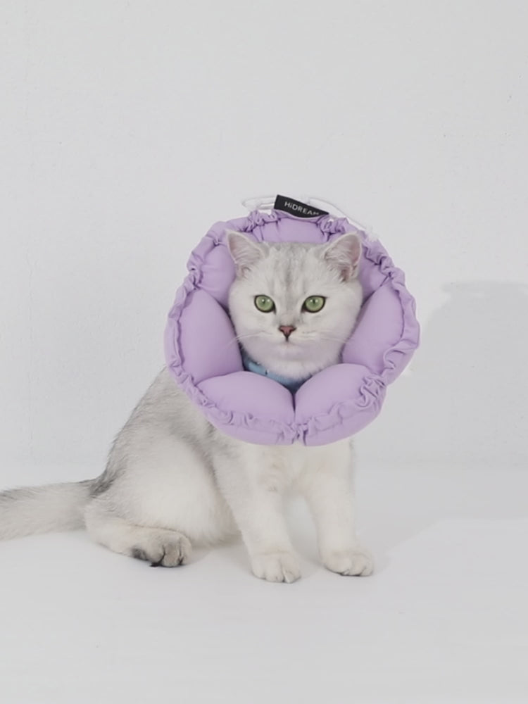 Floral Pet Recovery Collar Plus
