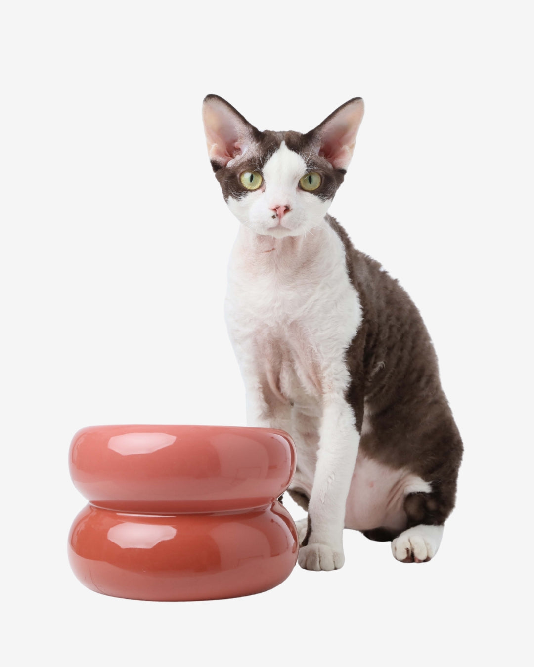 Soufflé Pet Bowl - Rose Pink