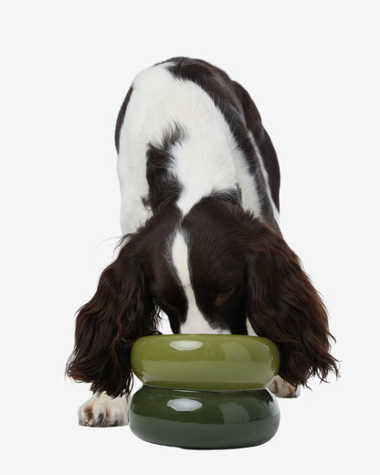 Soufflé Pet Bowl - Avocado Green