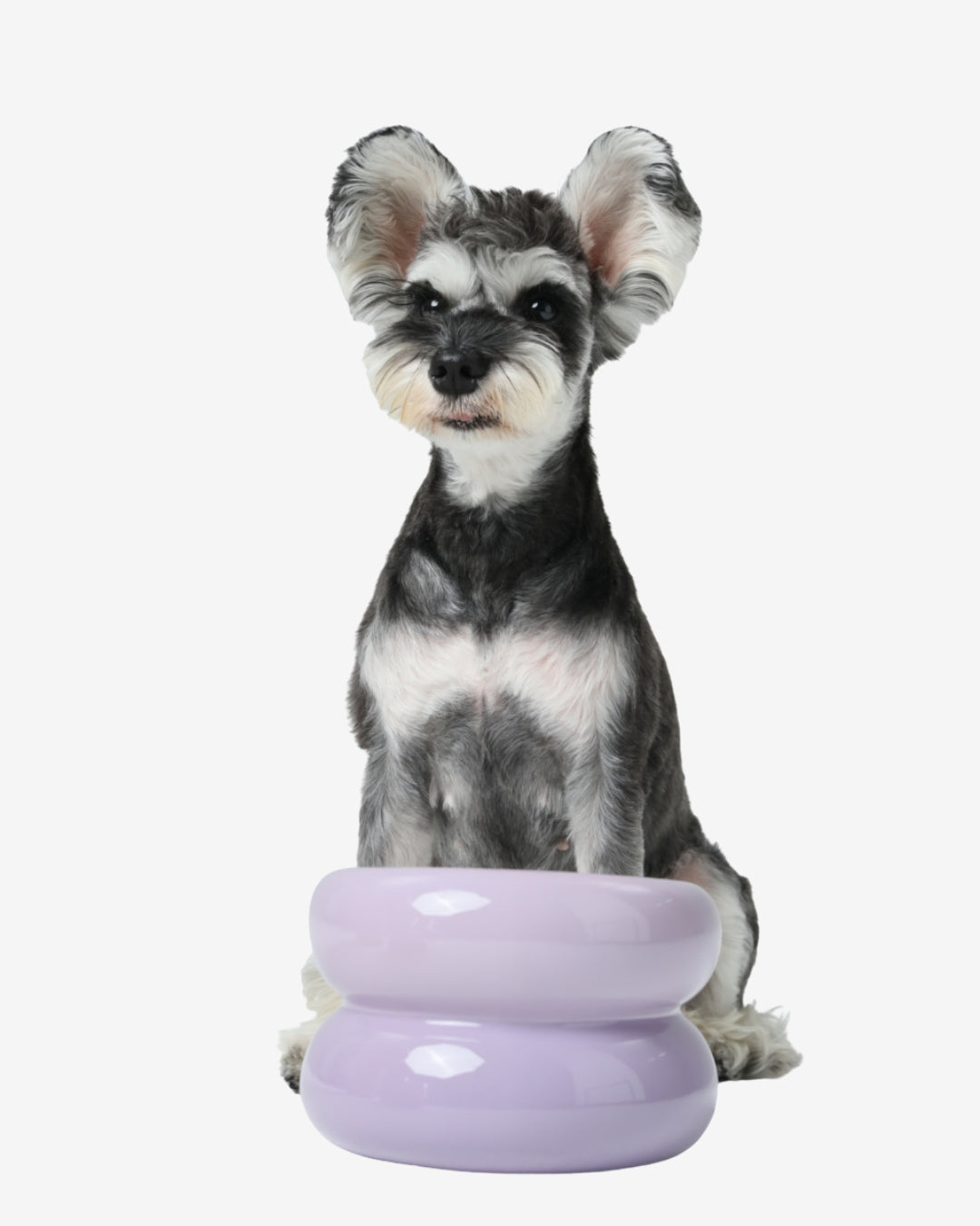 Soufflé Pet Bowl - Lavender Purple